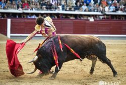 NOTABLE ACTUACION DE VICTOR HERNANDEZ EN LA SEGUNDA DE SAN ISIDRO