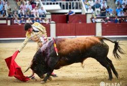 TARDE DE SILENCIOS EN LA VIGESIMA TERCERA CORRIDA DE LA FERIA DE SAN ISIDRO TAN SOLO UNA VUELTA PARA EL CONFIRMANTE A. PEÑARANDA