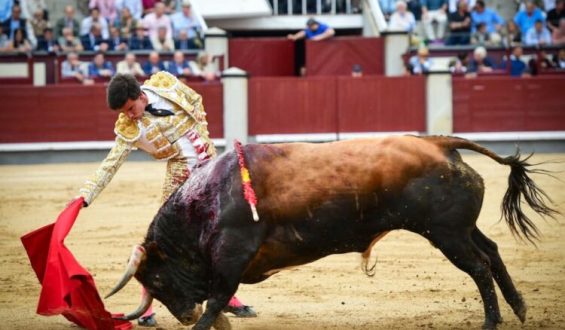 TARDE DE SILENCIOS EN LA VIGESIMA TERCERA CORRIDA DE LA FERIA DE SAN ISIDRO TAN SOLO UNA VUELTA PARA EL CONFIRMANTE A. PEÑARANDA