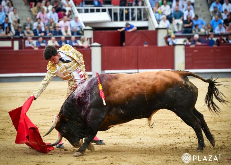 TARDE DE SILENCIOS EN LA VIGESIMA TERCERA CORRIDA DE LA FERIA DE SAN ISIDRO TAN SOLO UNA VUELTA PARA EL CONFIRMANTE A. PEÑARANDA