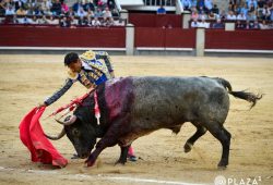 OREJA AL PUNDONOR Y VALOR DE GOMEZ DEL PILAR EN MADRID