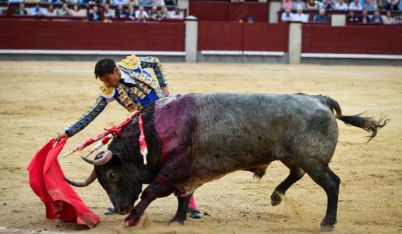 OREJA AL PUNDONOR Y VALOR DE GOMEZ DEL PILAR EN MADRID