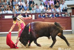 DECEPCIONANTE ENCIERRO DE ELCONDE DE MAYALDE EN LA VIGESIMO QUINTA DE SAN ISIDRO