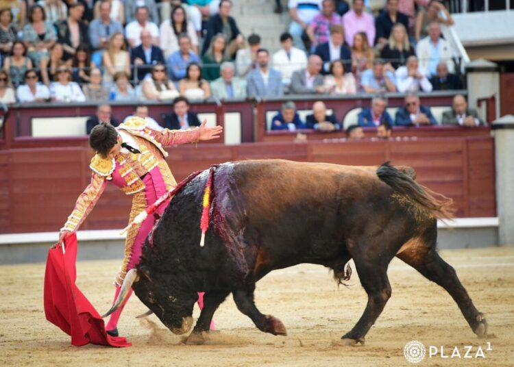 DECEPCIONANTE ENCIERRO DE ELCONDE DE MAYALDE EN LA VIGESIMO QUINTA DE SAN ISIDRO
