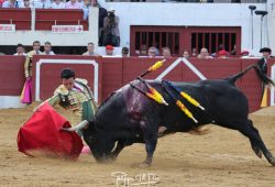 JUAN DE CASTILLA Y “CIGARRERO” DIERON EL ESPECTACULO EN VIC FEZENSAC