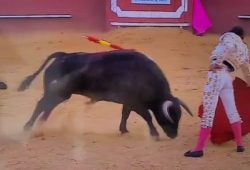 SIN CORTAR OREJAS CRISTIAN RESTREPO VUELVE A SORPRENDER EN PLAZA HISPANA