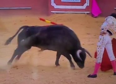 SIN CORTAR OREJAS CRISTIAN RESTREPO VUELVE A SORPRENDER EN PLAZA HISPANA