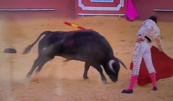 SIN CORTAR OREJAS CRISTIAN RESTREPO VUELVE A SORPRENDER EN PLAZA HISPANA