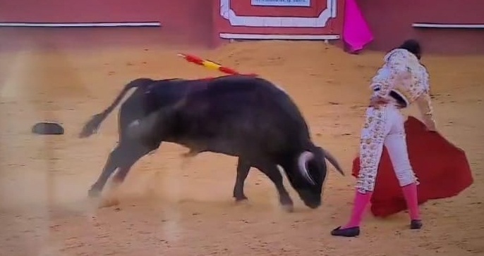 SIN CORTAR OREJAS CRISTIAN RESTREPO VUELVE A SORPRENDER EN PLAZA HISPANA