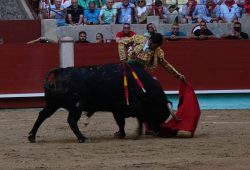 ENTRE 10 Y 15 DIAS ESTARÁ FUERA DE LOS RUEDOS MORANTE DE LA PUEBLA TRAS PERCANCE EN PONTEVEDRA