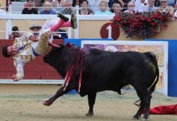 CORNADAS Y OREJA A JUAN DE CASTILLA EN BAYONA.