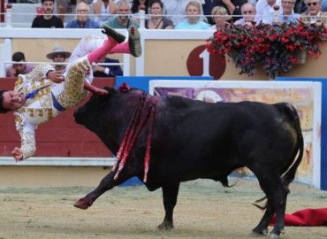 CORNADAS Y OREJA A JUAN DE CASTILLA EN BAYONA.
