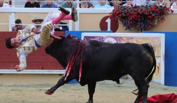 CORNADAS Y OREJA A JUAN DE CASTILLA EN BAYONA.
