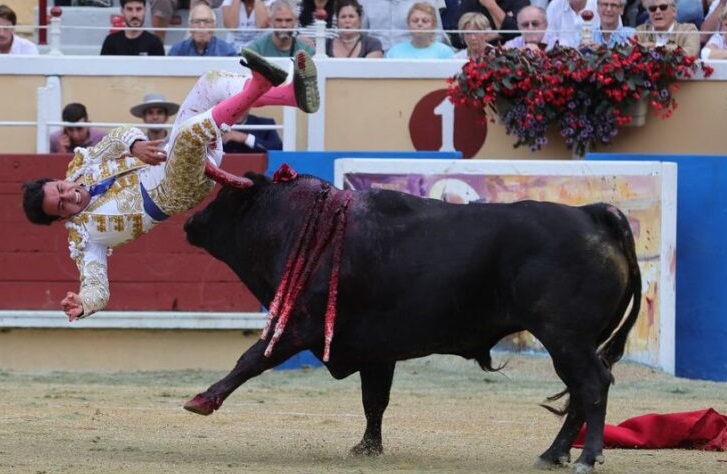 CORNADAS Y OREJA A JUAN DE CASTILLA EN BAYONA.