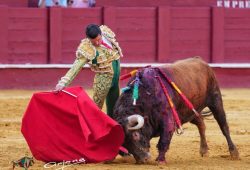 GRAN TRIUNFO DE  E. DE JUSTO EN LA MALAGUETA CON TRES OREJAS. UNA PARA JIMENEZ FORTES