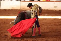 SENSACIONES POSITIVAS DEJA J. CASTAÑEDA EN PLAZA MEXICANA