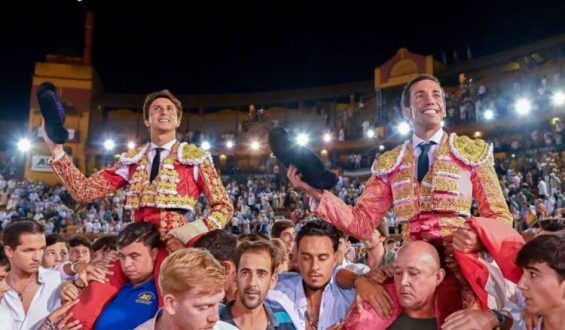 CON FUERTES DOLORES DESPUES DE COGIDA ROCA REY CORTA DOS OREJAS EN HUELVA
