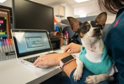 LA TAUROMAQUIA EN COLOMBIA: UN DEBATE MÁS ALLÁ DE LA ARENA