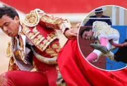 LOS TOROS HAN CASTIGADO MUCHO EN EL MES DE AGOSTO