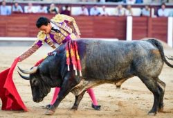 EN ESPAÑA SE VALORA LO QUE EN COLOMBIA SE PROHIBE