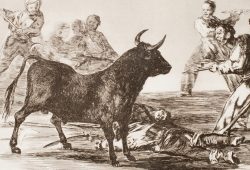 LA DEFENSA TAURINA NO ES UN NEGOCIO