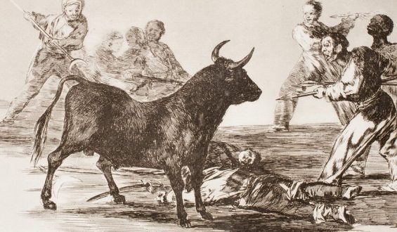 LA DEFENSA TAURINA NO ES UN NEGOCIO