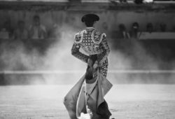 UNA PROHIBICIÓN CON SOMBRAS: LA TAUROMAQUIA Y EL VACÍO DE GARANTÍAS CONSTITUCIONALES