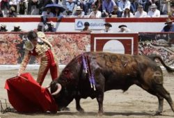NOTABLES TRIUNFOS DE S. CASTELLA Y M. PEREZ EN LATACUNGA Y MERIDA.