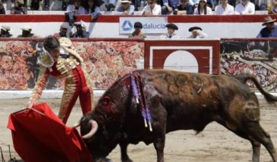 NOTABLES TRIUNFOS DE S. CASTELLA Y M. PEREZ EN LATACUNGA Y MERIDA.