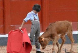 ME SIENTO TORERO (POEMA)