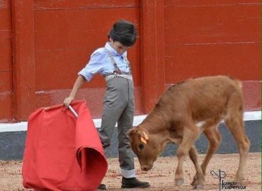 ME SIENTO TORERO (POEMA)