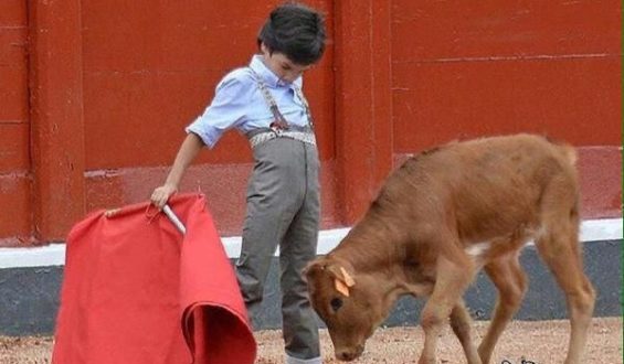 ME SIENTO TORERO (POEMA)