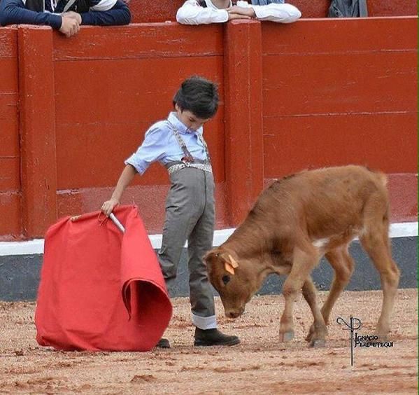 ME SIENTO TORERO (POEMA)