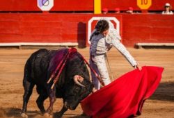 FINALIZÓ LA FERIA DEL SEÑOR DE LOS MILAGROS CON TRIUNFO DE ROCA REY