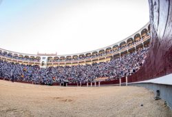 TELEMADRID DE NUEVO AL AIRE CON LAS CORRIDAS DE LA FERIA DE SAN ISIDRO