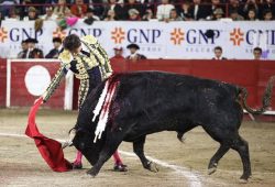 LESION DE ANDRES ROCA REY EN LEON