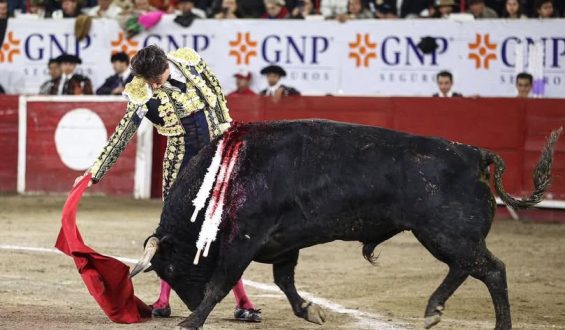 LESION DE ANDRES ROCA REY EN LEON