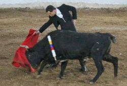 CURRO CALESERO RECIBE HOMENAJE EN EL PINTORESCO CORTIJO LA QUERENCIA