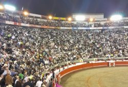 19 OREJAS SE CORTARON EN LA FERIA NÚMERO 71 DE MANIZALES