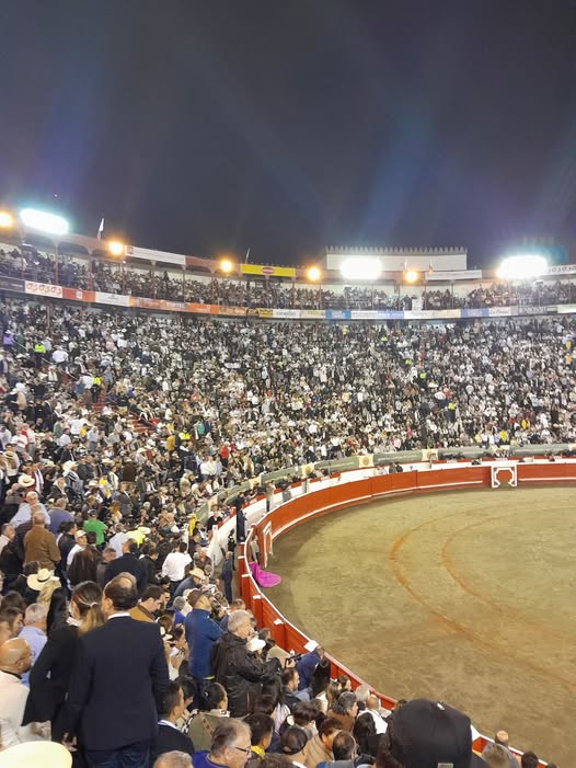 19 OREJAS SE CORTARON EN LA FERIA NÚMERO 71 DE MANIZALES