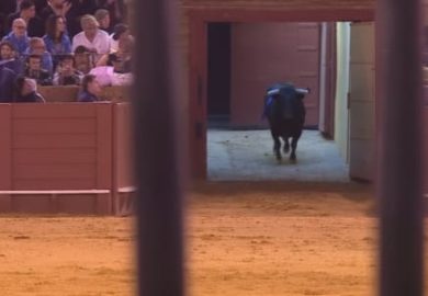 EL ALTAR DE LA BRAVURA: UN MANIFIESTO LÍRICO SOBRE LA TAUROMAQUIA Y LA IDENTIDAD COLOMBIANA