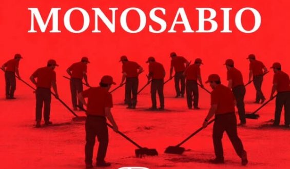 FELIZ DIA MONOSABIOS DEL MUNDO!!