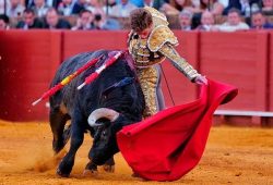 BORJA JIMENEZ PUDO HABER SALIDO POR LA PUERTA DEL PRINCIPE EN SEVILLA