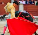 SOPORIFERA CORRIDA LA DUODECIMA DEL ABONO EN MADRID