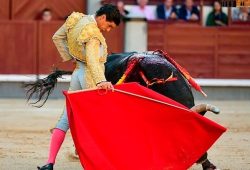SOPORIFERA CORRIDA LA DUODECIMA DEL ABONO EN MADRID