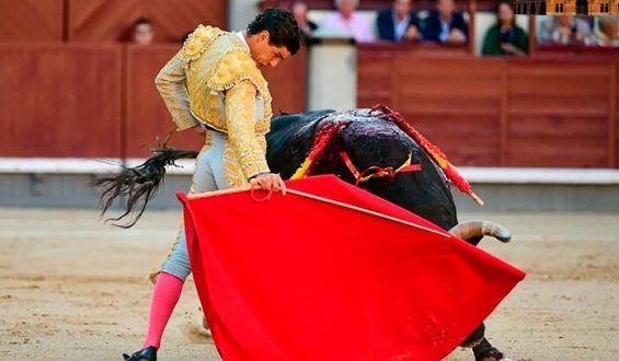 SOPORIFERA CORRIDA LA DUODECIMA DEL ABONO EN MADRID
