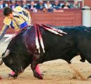 FAENÓN DE SEBASTIAN CASTELLA SIN ESPADA CON UN TORO DE VUELTA AL RUEDO