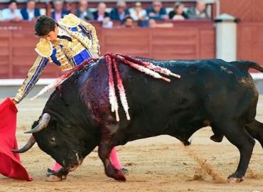 FAENÓN DE SEBASTIAN CASTELLA SIN ESPADA CON UN TORO DE VUELTA AL RUEDO