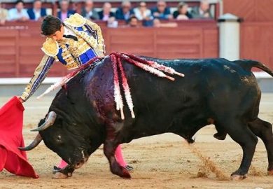 FAENÓN DE SEBASTIAN CASTELLA SIN ESPADA CON UN TORO DE VUELTA AL RUEDO
