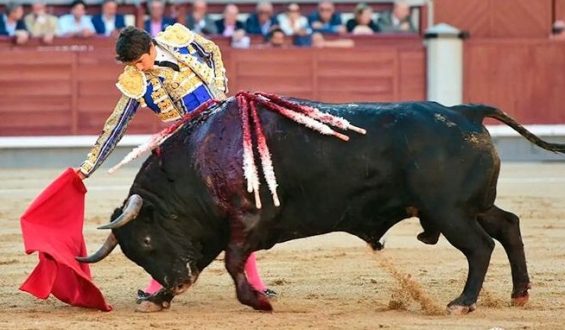 FAENÓN DE SEBASTIAN CASTELLA SIN ESPADA CON UN TORO DE VUELTA AL RUEDO